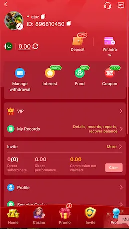 6e payment and withdraw section